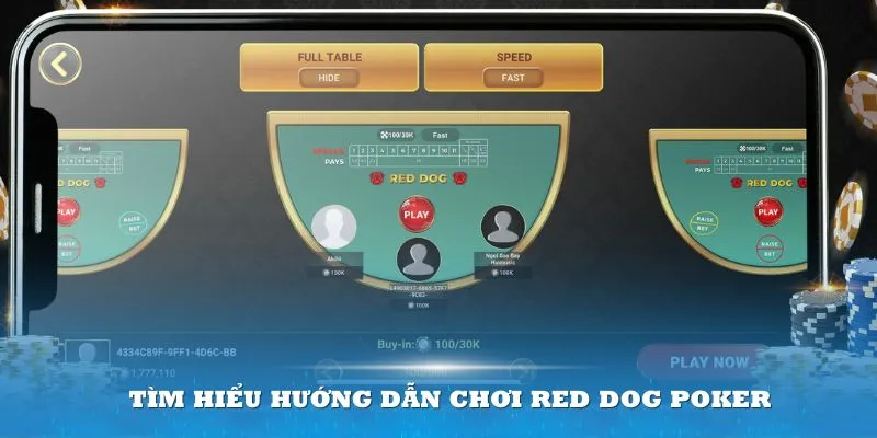 Tìm hiểu hướng dẫn chơi Red Dog Poker